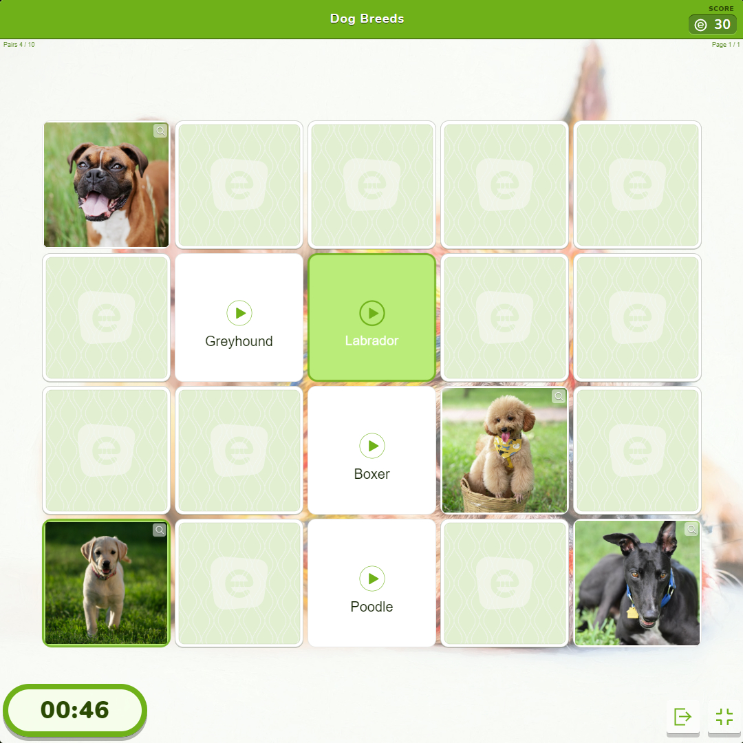 Memory game Educaplay Dog Breeds (square)